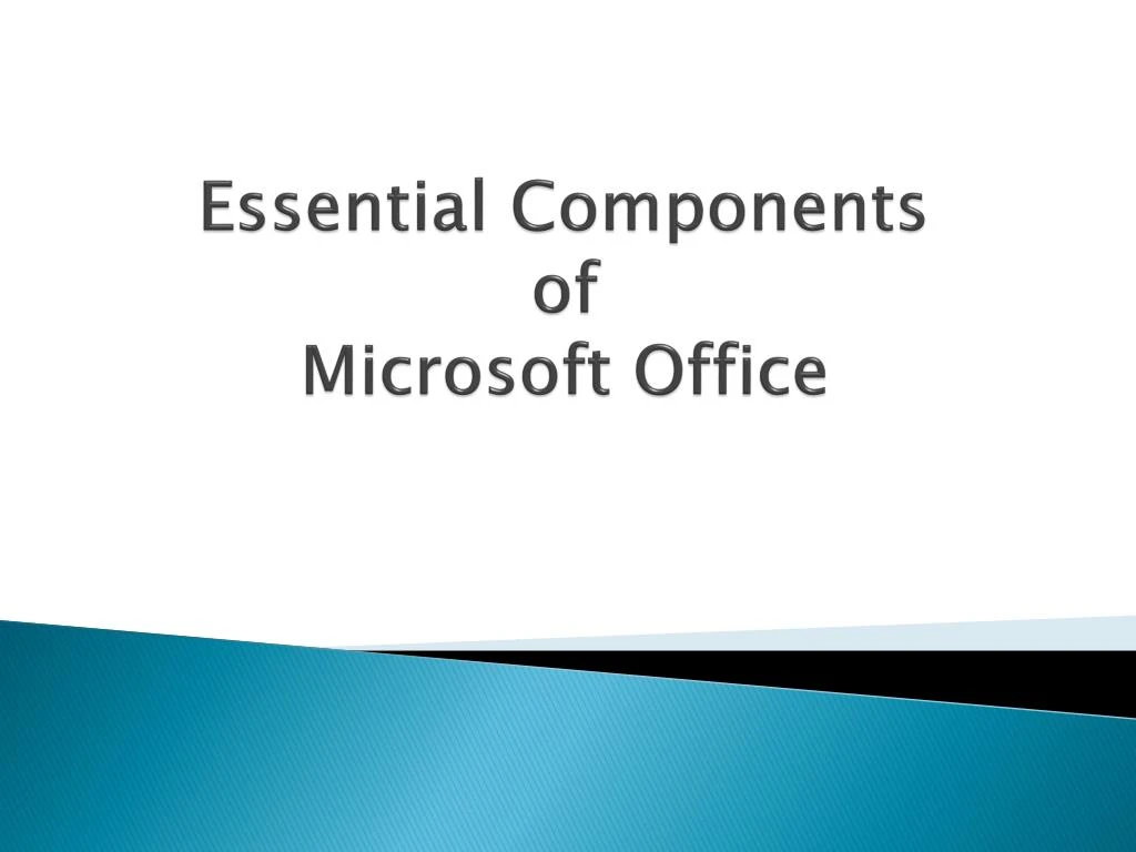 essential components of microsoft office