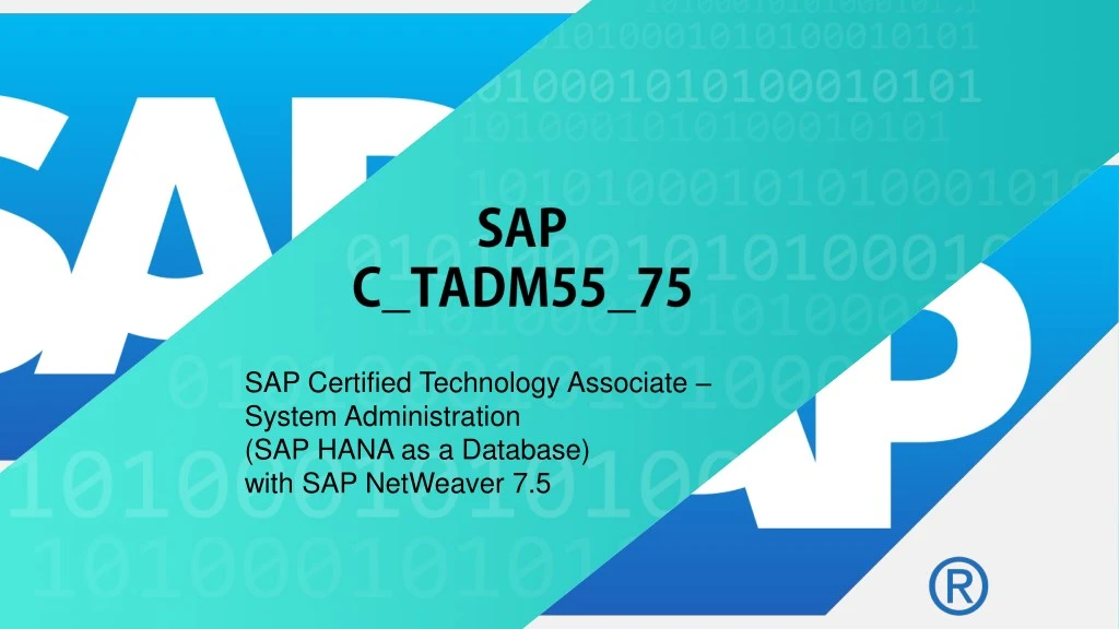 sap certified technology associate system