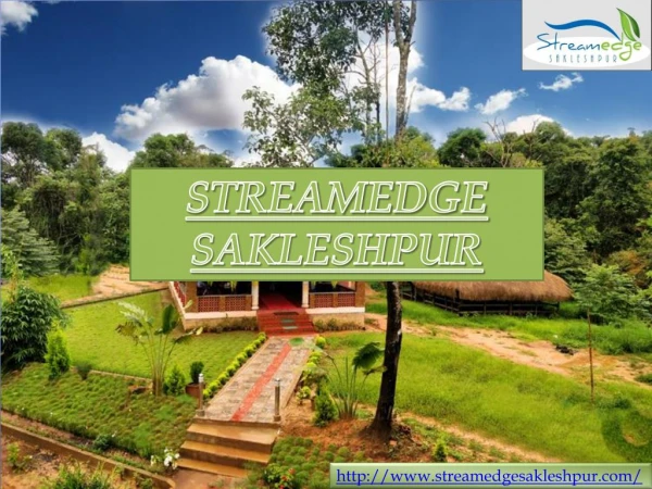 Stream Edge Sakleshpur