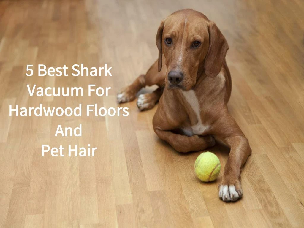 5 best shark vacuum for hardwood floors and pet hair