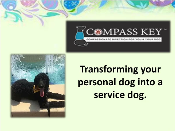 How to train a dog to be a service dog