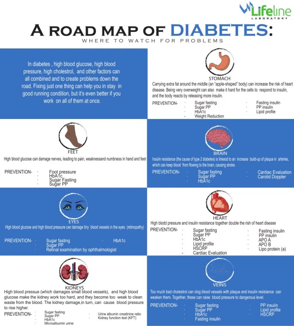 A road map of diabetes