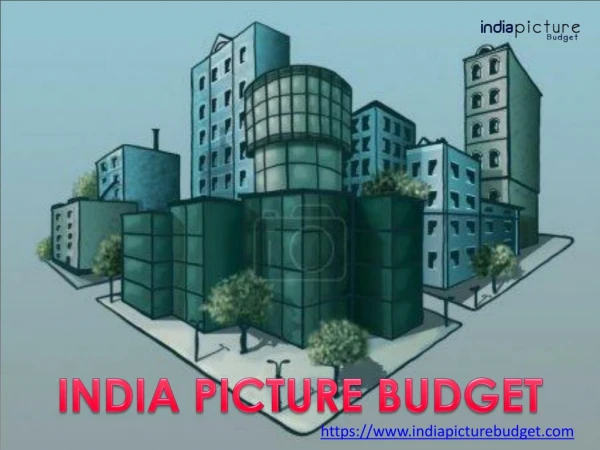 India Picture Budget