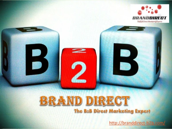 Branddirect DWC LLC - B2B Direct Marketing UAE