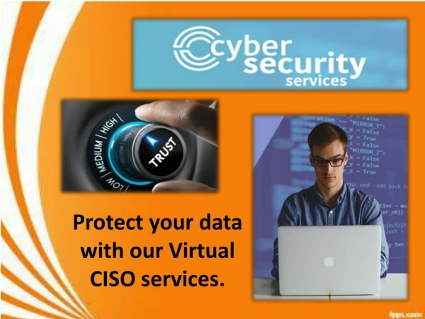 Avail the finest Virtual CISO Services