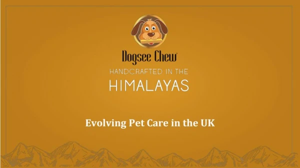 Evolving Pet Care in the UK