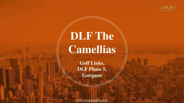 DLF Camellias Golf Course Road- Camellias Gurgaon