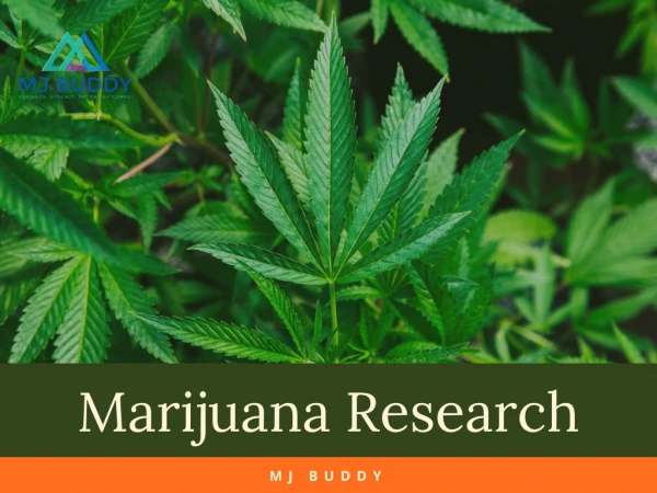Advanced Marijuana Research and Cannabis Research | MJ Buddy
