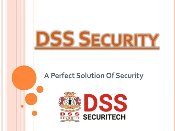 DSS Security a perfect solution of all Security related problems
