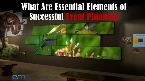 What Are Essential Elements of Successful Event Planning