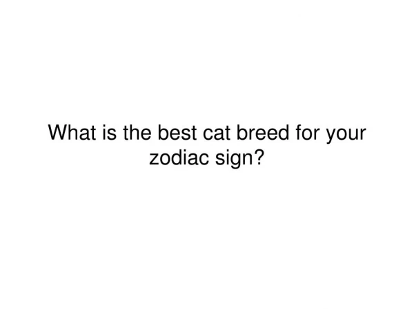 Cat Breeds Zodiac Sign Compatibility