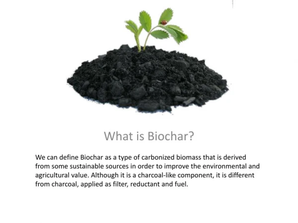 Get the best quality Biochar with ease!
