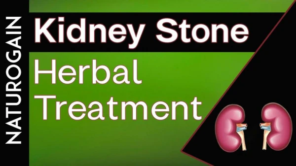 Kidney Stone Herbal Treatment, Cleanse Kidney Naturally at Home