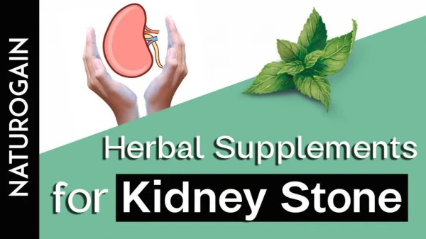 Herbal Supplements for Kidney Stone Removal and Kidney Support Foods