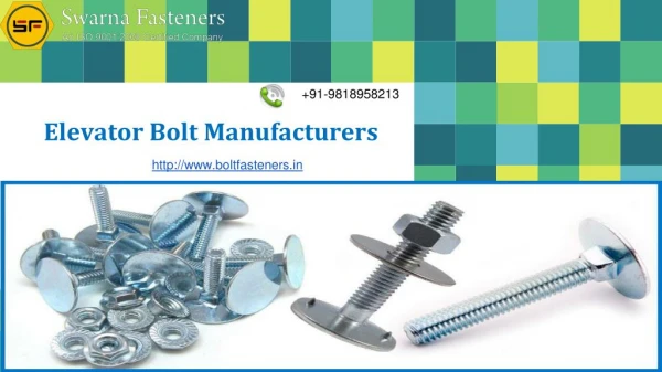 Elevator Bolt Manufacturers