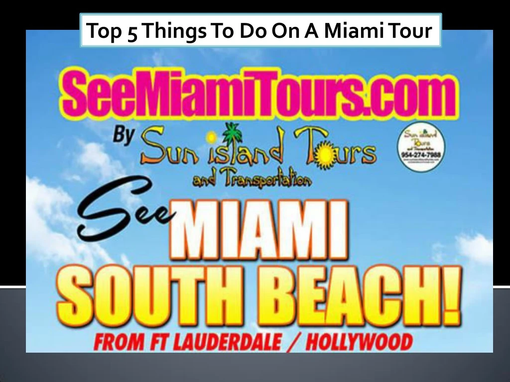 top 5 things to do on a miami tour