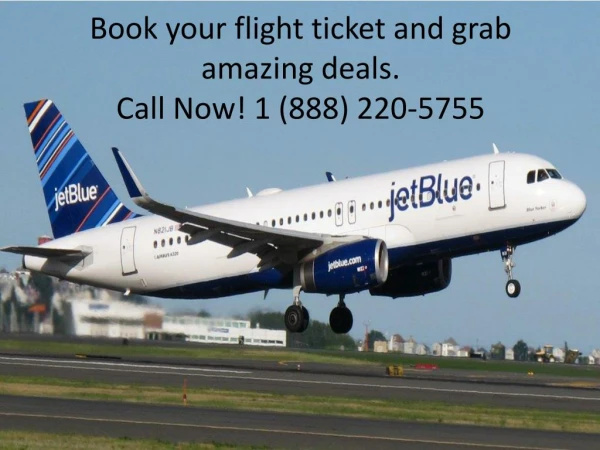 Book your flight ticket and grab amazing deals
