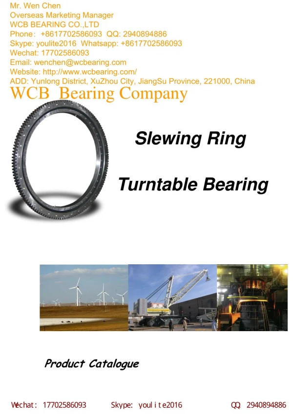 WCB large diameter ring gear
