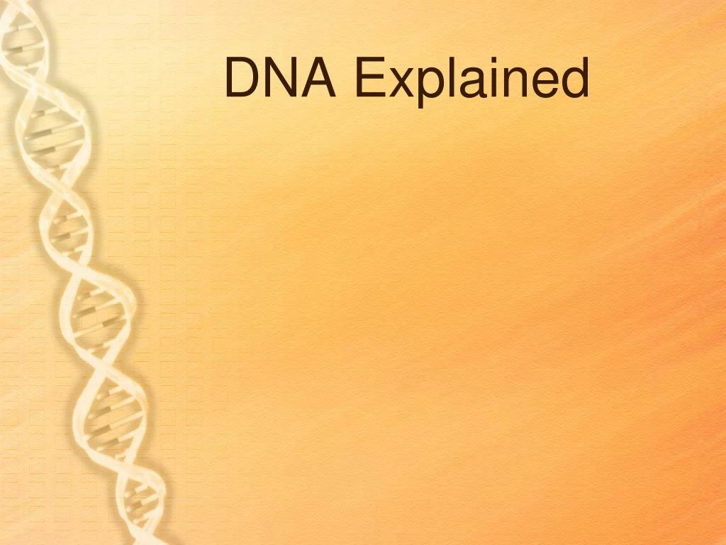 dna explained