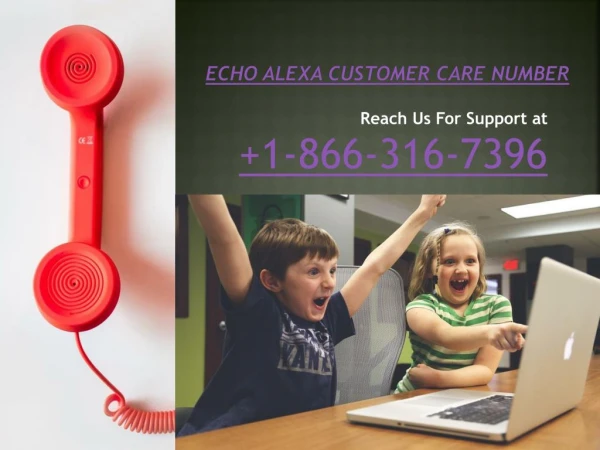 Amazon Echo Alexa Device Support Number 1-866-316-7396 support