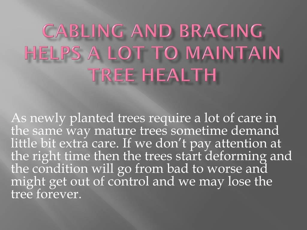 cabling and bracing helps a lot to maintain tree health