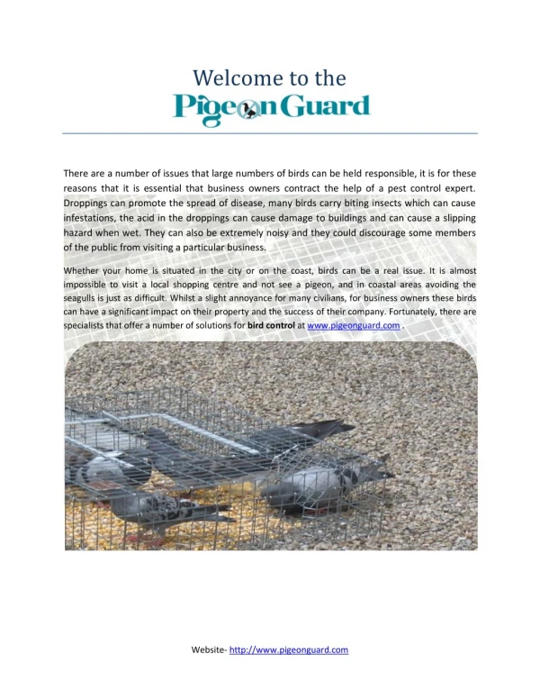 Electric Shock Trapping- Pigeonguard.com