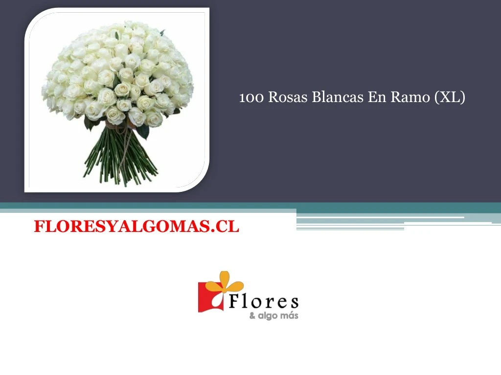 100 rosas blancas en ramo xl