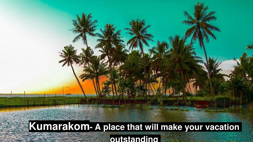 kumarakom a place that will make your vacation