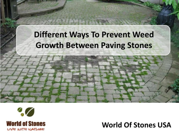 Different Ways To Prevent Weed Growth Between Paving Stones