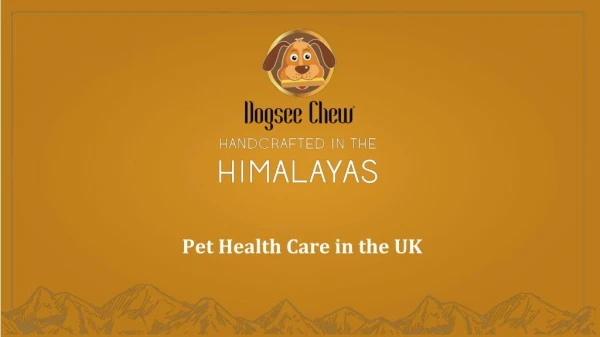 Pet Health Care in the UK