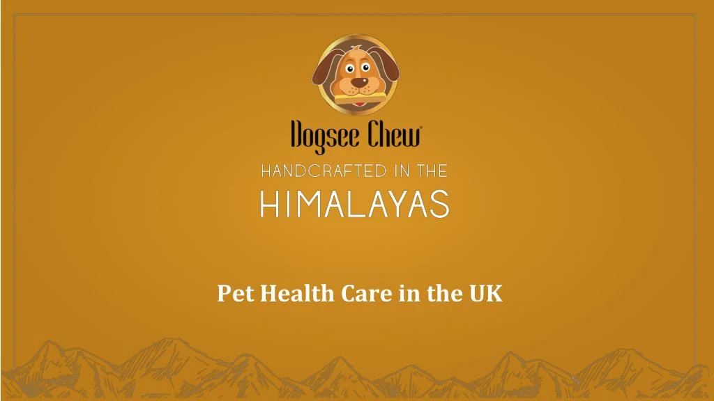 pet health care in the uk