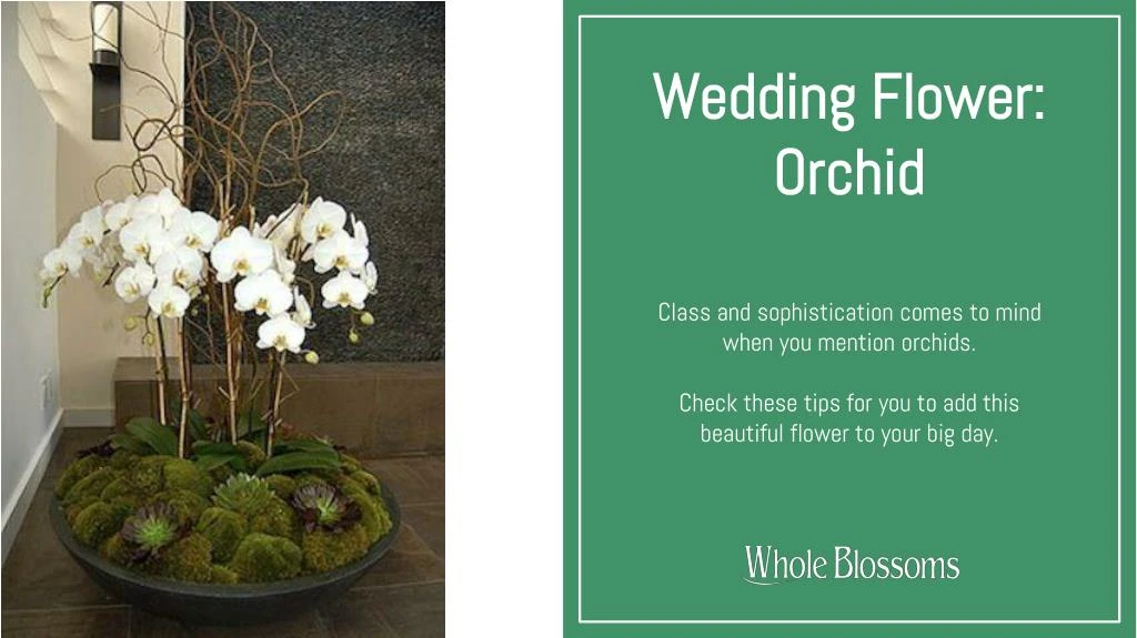 wedding flower orchid