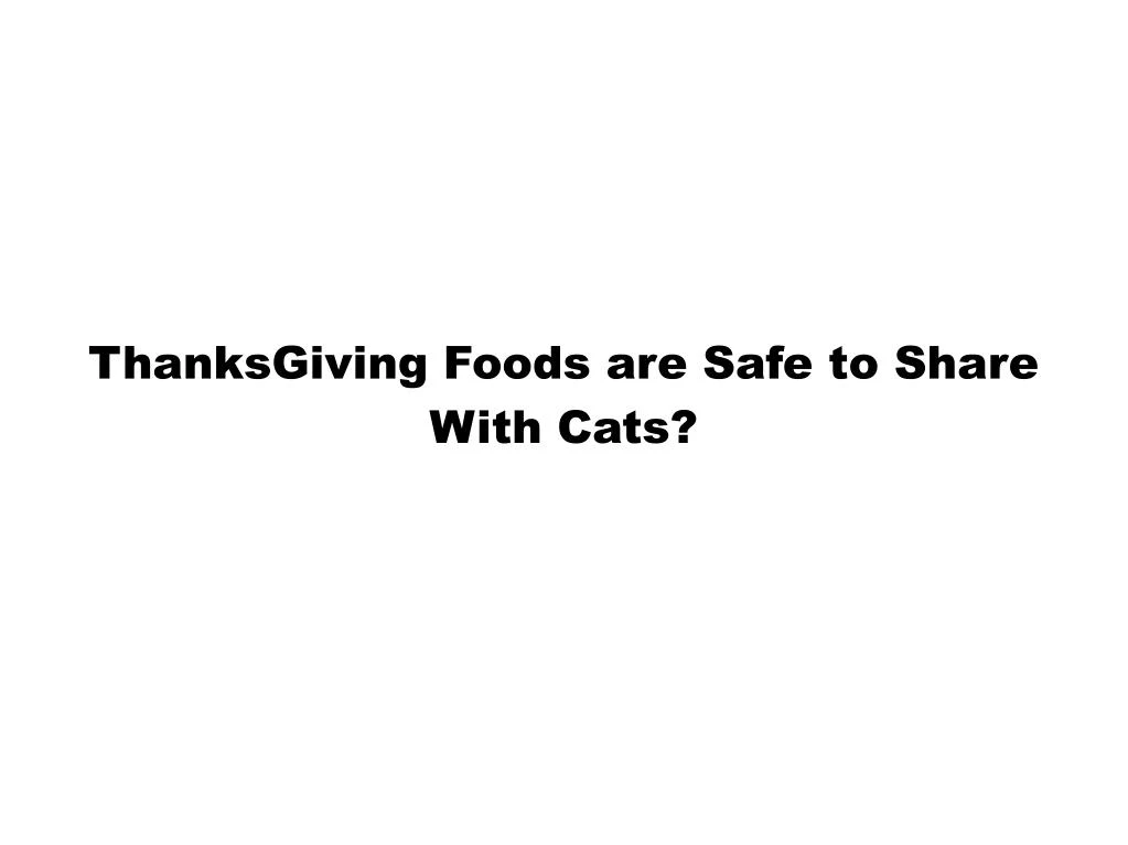 thanksgiving foods are safe to share with cats