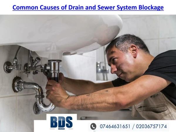 Common Causes of Drain and Sewer System Blockage
