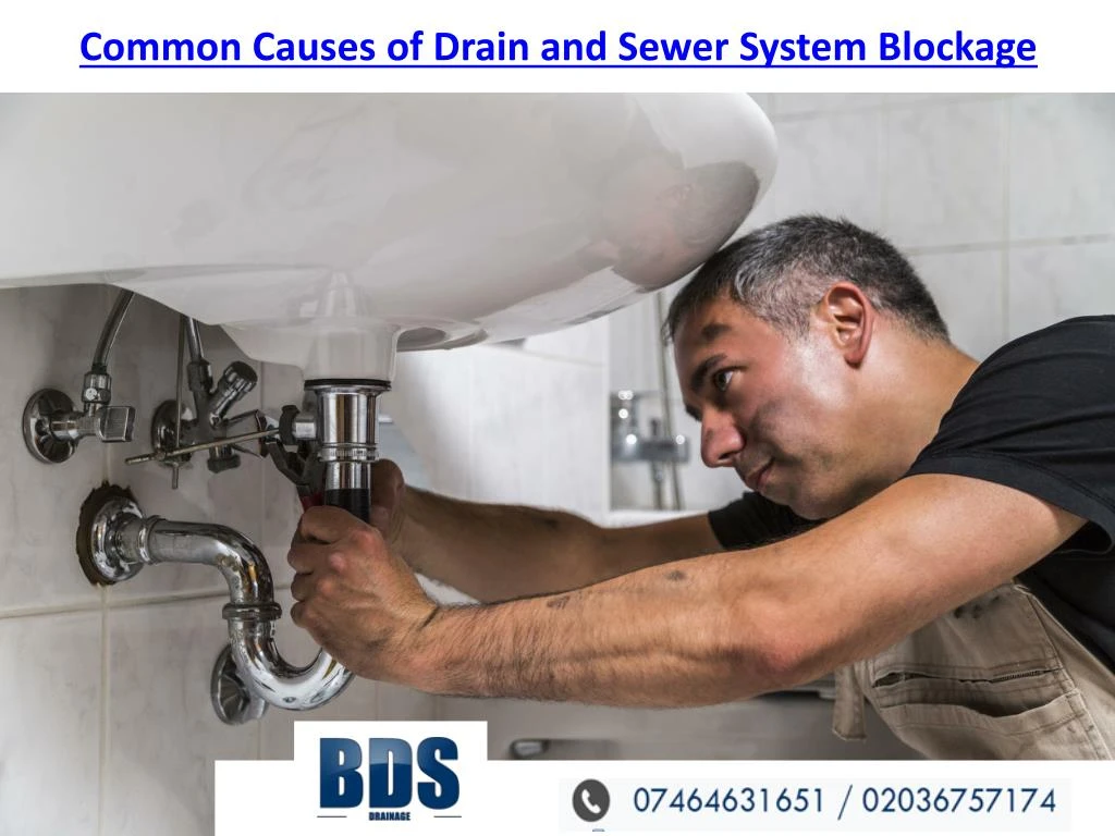 common causes of drain and sewer system blockage