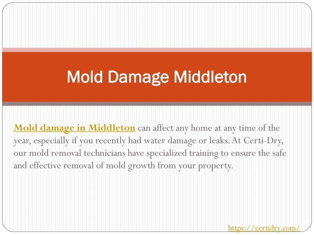 mold damage middleton