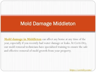 Mold Damage Middleton - slide 1