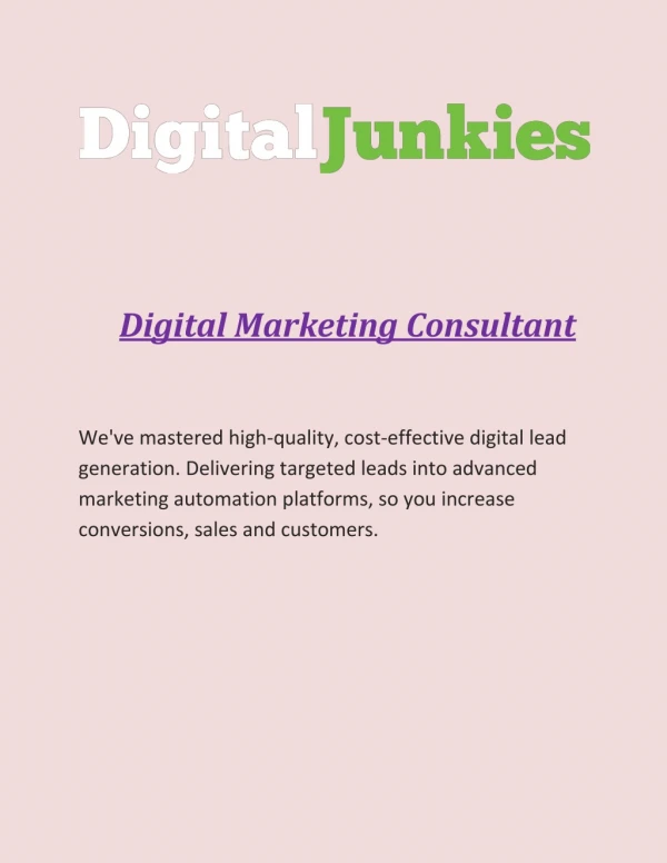 Digital Marketing Consultant - Digital Junkies