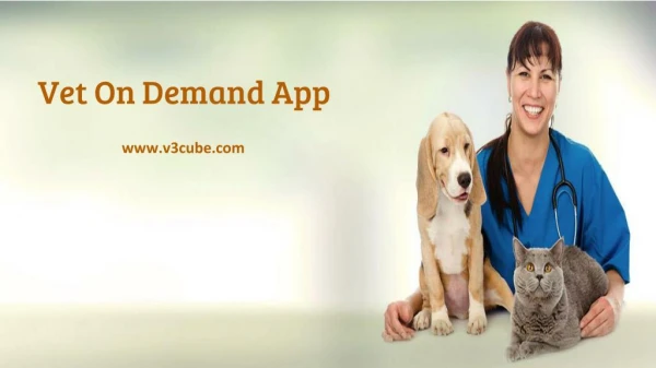 Vet On Demand App