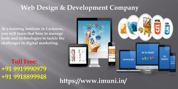 web design development company