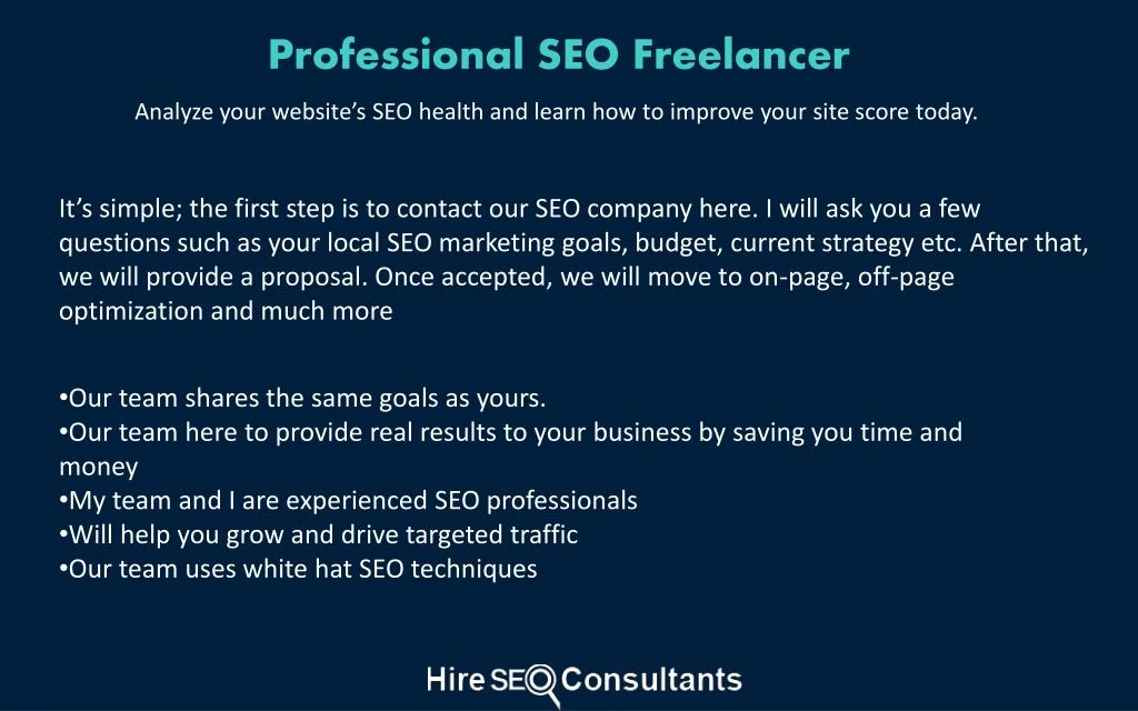 professional seo freelancer