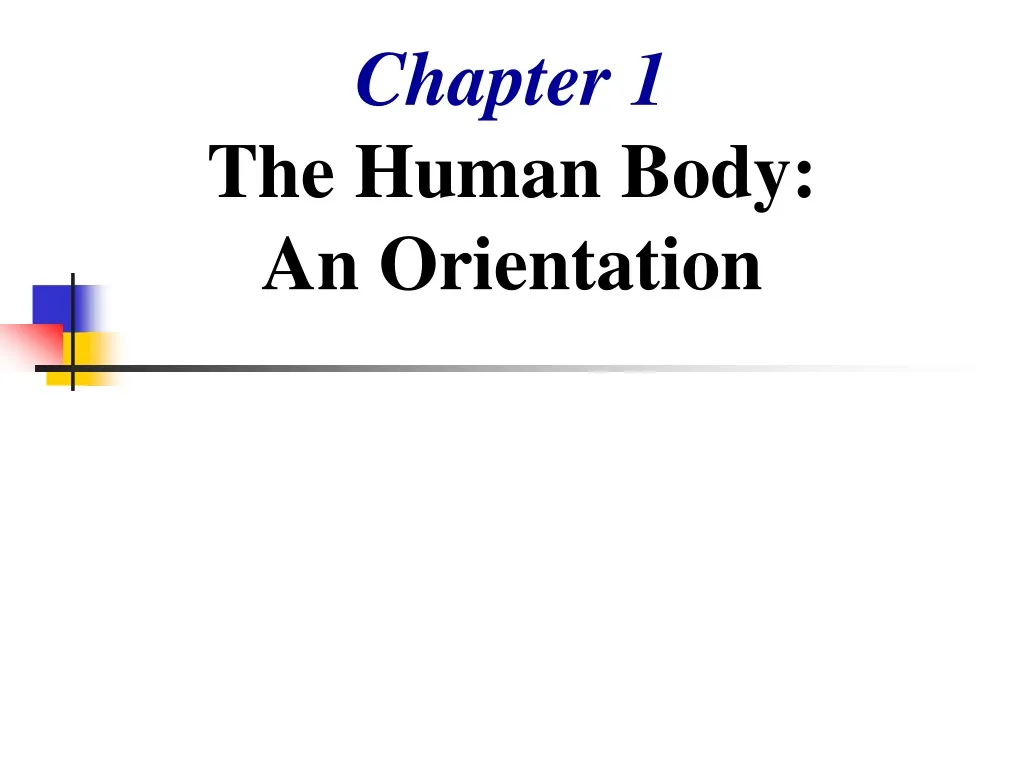 chapter 1 the human body an orientation