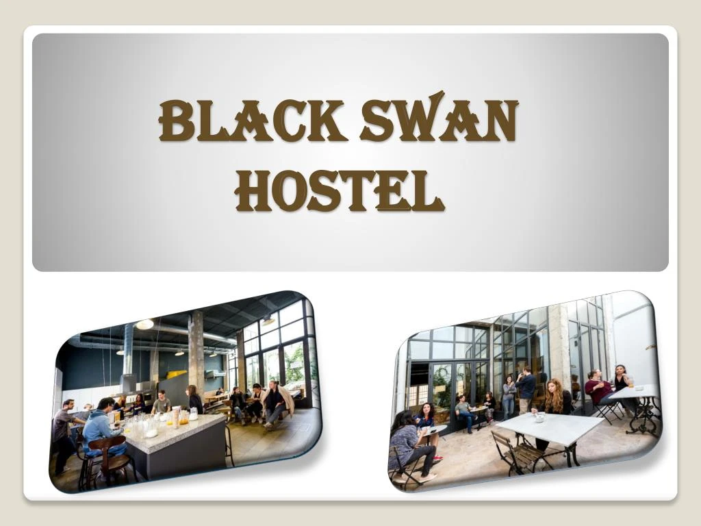 black swan hostel