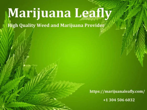 Marijuana Products Online | Online Cannabis Dispensary