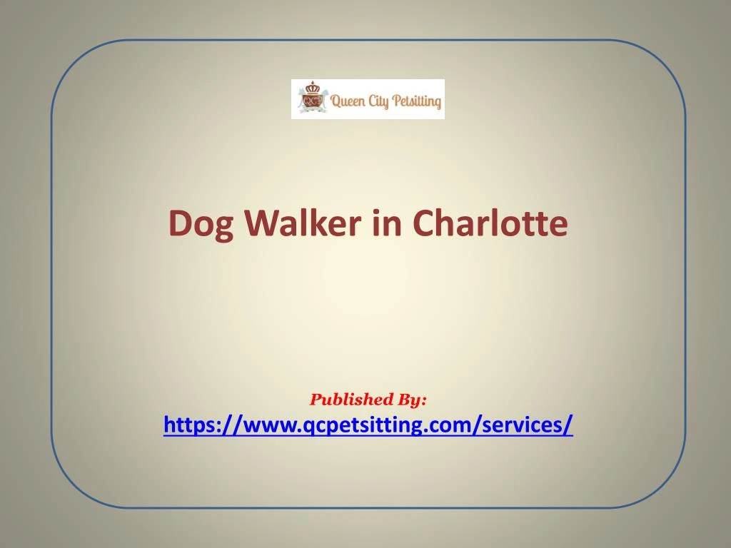 dog walker in charlotte published by https www qcpetsitting com services