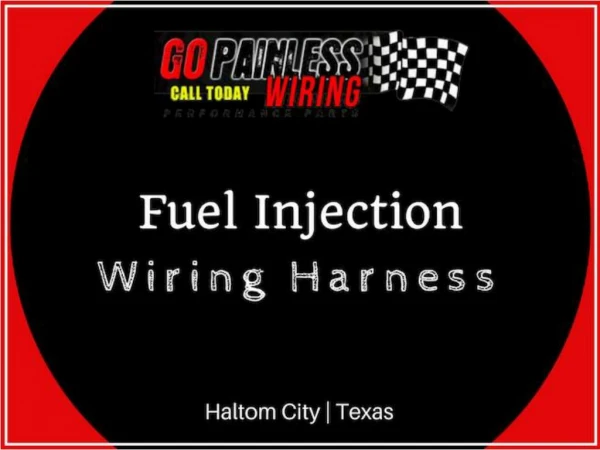 Fuel Injection Wiring Harness - Go Painless Wiring