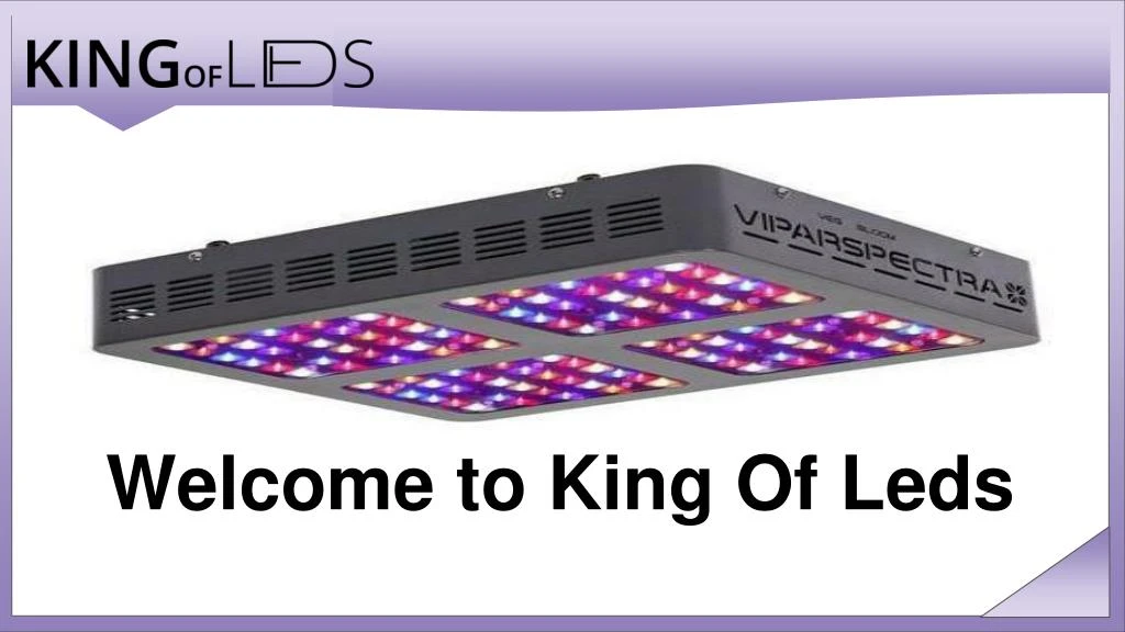welcome to king of leds