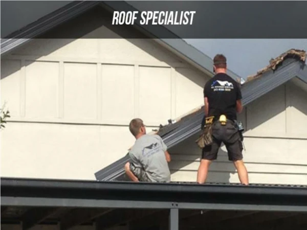Summary About The Roof Specialist