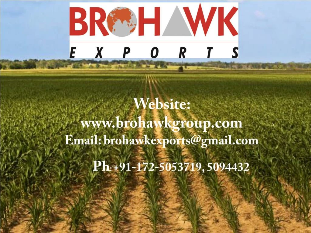 website www brohawkgroup com email