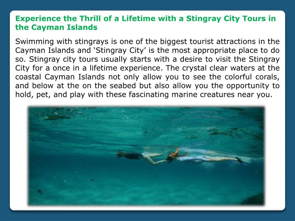 experience the thrill of a lifetime with